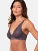 Royal Lounge Bralette Royal Dream mit Spitze in Glacier Grey