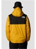 The North Face The North Face Winterjacken in summit gold