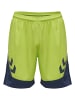 Hummel Hummel Kurze Hose Hmllead Fußball Herren Schnelltrocknend in LIME PUNCH