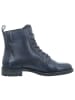 TT. BAGATT Stiefeletten in blau