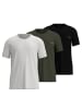 Tom Tailor T-Shirt 3er Pack in Grün