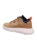 Palladium Sneaker Low in braun