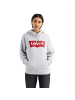 Levi´s Levi's Graphic Standard Hoodie in Grau