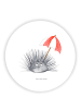 Mr. & Mrs. Panda Magnet Seeigel ohne Spruch in Weiß