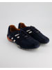 Geox Sneaker low in Blau