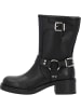 palado Stiefeletten in BLACK