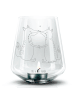 Mr. & Mrs. Panda Gravur Glas Füchse Liebe ohne Spruch in Transparent
