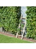 UNUS Deko-Holzleiter in Old Look