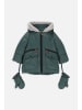 Coccodrillo Winterjacke in grün
