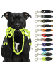 Reichstadt Reichstadt  RS Pets Führleine Nylon 25RSP084 Lime Green 1,5m