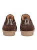 Gabor Sneaker Cacao