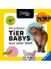 Ravensburger Verlag GmbH Buch - National Geographic Kids - Die tollsten Tierbabys aus aller Welt