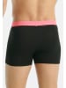 Adidas Sportswear Retro Short / Pant Active Micro Flex Eco in Schwarz / grau