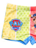 Paw Patrol Badehose Paw Patrol  in Blau