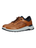 LLOYD Sneaker in Cognac