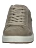 Fretz Men Sneaker in Sand