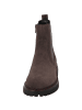 palado Stiefeletten in grey