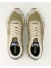 BLAUER USA Sneaker low in Grün