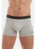 Adidas Sportswear Retro Short / Pant Active Flex Cotton 3 Stripes in Grau