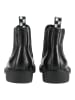 Steve Madden Stiefelette BRONN in Schwarz/Schwarz