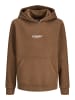 JACK & JONES Junior Kapuzenpullover in Cocoa