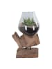 ebuy24 Waterdrop San Marino Teak 18 x 15 cm