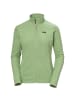 Helly Hansen M GUIDES DOWN HOODIE in Grün