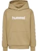 Hummel Kapuzenpullover Hmljr Logo Lebensstil Kinder in CORNSTALK