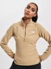 The North Face The North Face Half-Zip in khaki