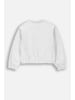 Coccodrillo Sweatshirt in grau