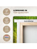 MuchoWow Leinwand bilder Waldlicht (BxH)