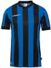 uhlsport  Sportshirt "Retro Stripe Shirt Kurzarm" in Schwarz