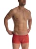 Olaf Benz Retro Pants RED2479 Minipants in mars