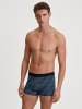 Calida New Boxer in schwarz