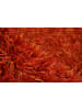 Arte Espina Kurzflor Teppich Beat 810 in orange - rechteckig