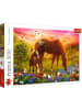 Trefl Spiel - Puzzle 500  Pferde auf der Wiese