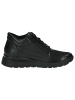 Caprice Sneaker in BLACK COMB