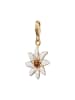 Nenalina Charm 925 Sterling Silber Blume, Edelweiss, Trachtenschmuck in Gold