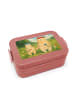 Mr. & Mrs. Panda Brotdose Bären mit Blumenkranz Design ohne Spruch in Rot Pastell