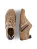Camel Active Leder Sneaker mit klassischer Schnürung in Beige