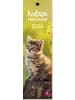 Groh Kalender - Lesezeichenkalender 2026: Katzenfreunde