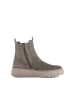 Gabor Chelsea Boot in grau