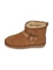 Warmbat Stiefeletten WALLABY BUCKLE in braun