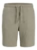 JACK & JONES PLUS Shorts in Seagrass