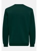 ONLY & SONS Sweatshirt Connor in Pine grove