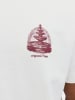 JACK & JONES PLUS T-shirt in Cloud Dancer