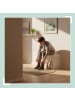 relaxdays Sitzbank in Weiß - (B)45 x (H)43 x (T)33 cm