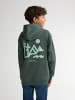 Petrol Industries Grafisches Hoodie Deschutes in Grün