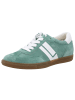 Paul Green Schnürschuhe in wasabi/white