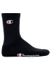 Champion Socken 6er Pack in Schwarz